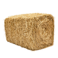 Rectangle hay bale isolate on transparent background png
