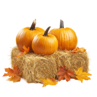 Pumpkins on hay bale with autumn leaves front view isolate on transparent background png