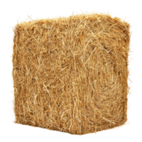 Rectangle hay bale isolate on transparent background png