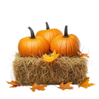 Pumpkins on hay bale with autumn leaves front view isolate on transparent background png