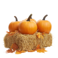 Pumpkins on hay bale with autumn leaves isolate on transparent background png