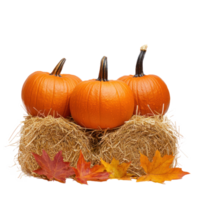 Pumpkins on hay bale with autumn leaves front view isolate on transparent background png