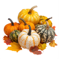 Colorful Pumpkins heap on autumn leaves isolate on transparent background png