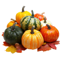 Colorful Pumpkins heap on autumn leaves isolate on transparent background png