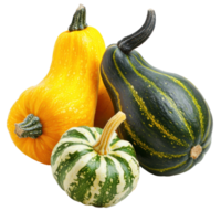 Autumn Squashes isolate on transparent background png