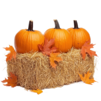 Pumpkins on hay bale with autumn leaves side view isolate on transparent background png