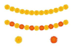 Marigold Flower Border Template Element. Isolated on White Background. vector