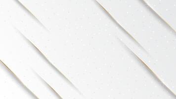 Luxurious white background with gold lines and sparkling illustrations vector