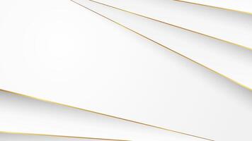 Abstract white background with gold line ornaments vector