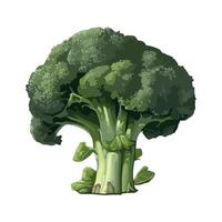 Fresh broccoli for healthy eating icon isolated vector