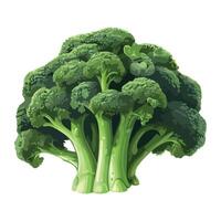 Fresh organic broccoli salad, a healthy meal vector