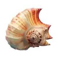 Summer seashells, nature decoration spiral icon isolated vector