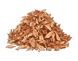 stack of autumnal leaves on a white background vector
