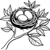 a birds nest on a tree branch houses three eggs, illustration line art vector