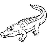 american aligator line art on white background, illustration line art vector