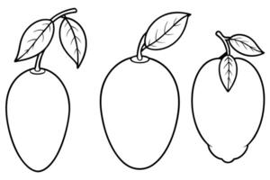 4 difference of mango with leaf, illustration line art vector