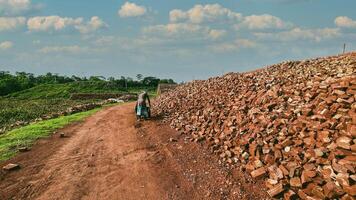Contrasting Scenes, Beautiful Nature and a Brickfield in Bangladesh photo