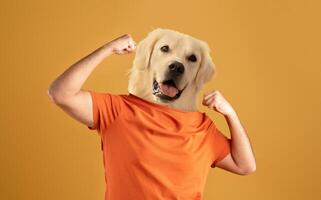 A playful scene features a dog with a strong and confident demeanor, raising its arms in a victory pose. The vibrant yellow background adds energy to the moment photo