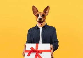 A dog with a human body is dressed in a blue button-down shirt and holds a white gift box wrapped with red ribbon. The dog is smiling and looks happy. The background is yellow. photo
