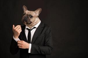 A playful French Bulldog stands upright, wearing a well-fitted formal suit and adjusting its tie. The animal's serious expression contrasts with the whimsical attire, creating a comical appearance photo