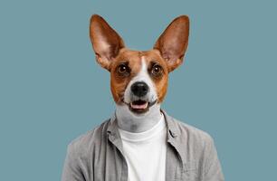 A dog with brown and white fur is wearing a white undershirt and a grey button-up shirt against a light blue background. The dog is smiling and looking directly at the camera. photo