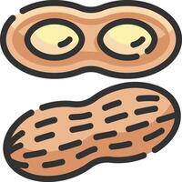 Two peanuts are shown on a white background vector