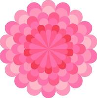 A pink flower with many petals on a white background vector