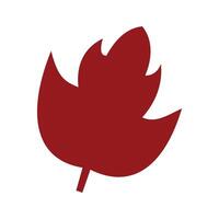 Maple leaf flat icon. Autumn leaf flat icon isolated on white background. Maple leaf flat icon. Leaves flat icon. Isolated on white background. . Nature element design, Maple leaf vector