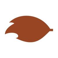 Autumn leaf flat icon isolated on white background. Maple leaf flat icon. Leaves flat icon. Isolated on white background. . Nature element design, Maple leaf vector