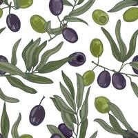 Elegant botanical seamless pattern with olive tree branches with leaves, black and green ripe fruits or drupes on white background. Colorful hand drawn illustration for textile print, backdrop. vector