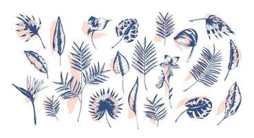 Bundle of tropical leaves of various plants hand drawn with contour lines against pink paint traces on background. Set of exotic foliage of different size and shape. Realistic illustration. vector