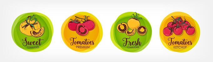 Collection of bright colored round labels for tomatoes, ketchup and related premium products. Bundle of circular tags with colorful hand drawn organic vegetables. illustration for veggie food. vector