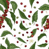 Elegant botanical seamless pattern with coffee tree branches, leaves, flowers and fruits on white background. Natural illustration in vintage style for textile print, wallpaper, wrapping paper. vector