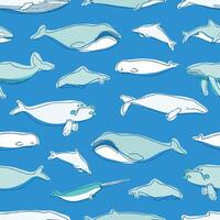 Gorgeous seamless pattern with various aquatic marine mammals hand drawn on blue background - whales, narwhal, dolphin, cachalot. illustration for textile print, wrapping paper, backdrop. vector