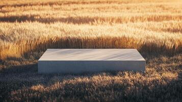 A flat concrete platform is set against a backdrop of vast golden wheat fields during sunset. The warm sunlight casts gentle shadows, enhancing the serene, minimalist atmosphere of the landscape. photo