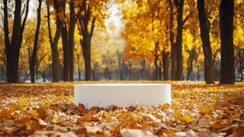 A white platform sits in the center of the image surrounded by fallen leaves. The leaves are mostly yellow and orange, with a few brown ones mixed in photo
