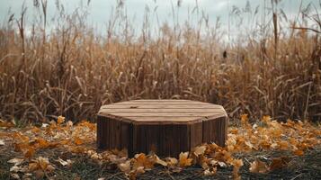 A wooden, octagonal platform rests on the ground, surrounded by fallen, colorful leaves. Tall grass sways gently in the background under a cloudy sky, signifying the calm of autumn dusk. photo