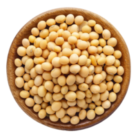 Soybeans isolated on Transparent background png