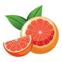 Grapefruit with leaves and slices on a white background vector