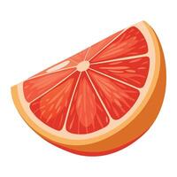 Grapefruit slice on white background vector