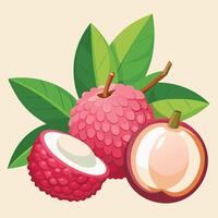 illustration of lychee fruit with leaves and half open vector