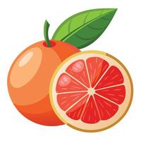 Grapefruit and half grapefruit with leaves on a white background vector