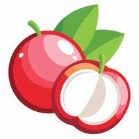 Red fruit with green leaves and half open vector