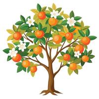Orange tree with flowers and fruit vector