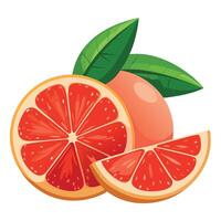Grapefruit with leaves and slices on a white background vector