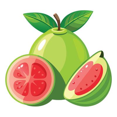 A green guava fruit with a slice cut in half