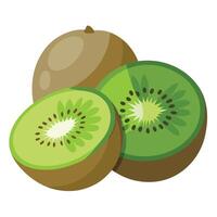 Half of fresh kiwi fruit isolated on white background. vector