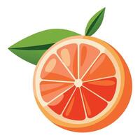 An orange with a leaf on it is shown vector