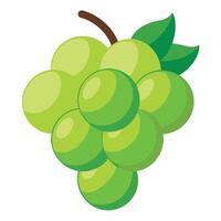 white grape icon, illustration of green fruit with leaf isolated of white background vector