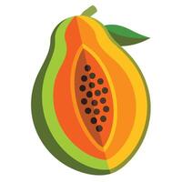 Papaya fruit illustration vector
